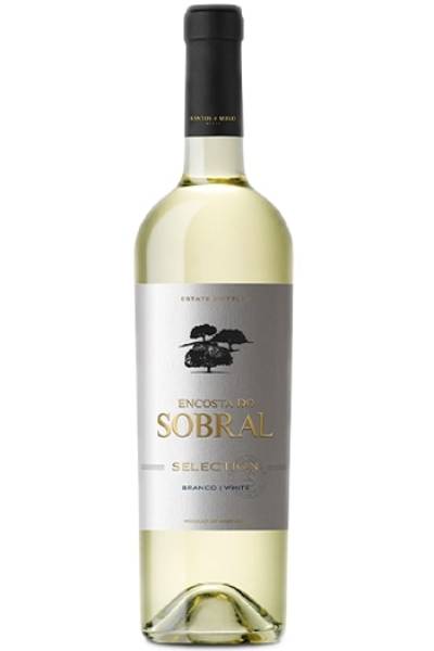 ACTIE 5+1 Encosta Do Sobral Branco - Tejo - Portugal