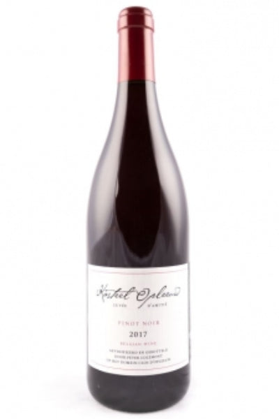 KASTEEL D'OPLEEUW - Pinot Noir - Haspengouwse wijn- P.Colemont  2021