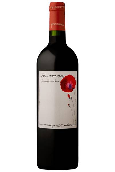 ACTIE 5+1 LES PROMESSES DE ROCHER CORBIN - Montagne Saint Emilion